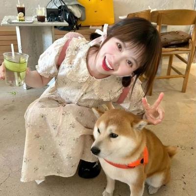 少女管家